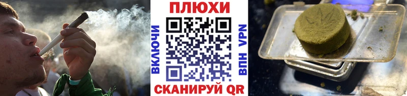 ГАШ Premium  где продают   Георгиевск 