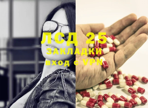 гашик Алексеевка