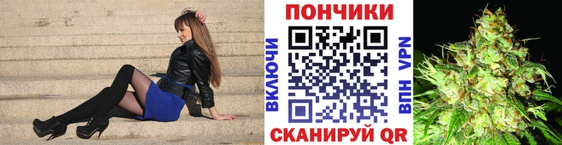 Шишки марихуана сатива  как найти закладки  Георгиевск 
